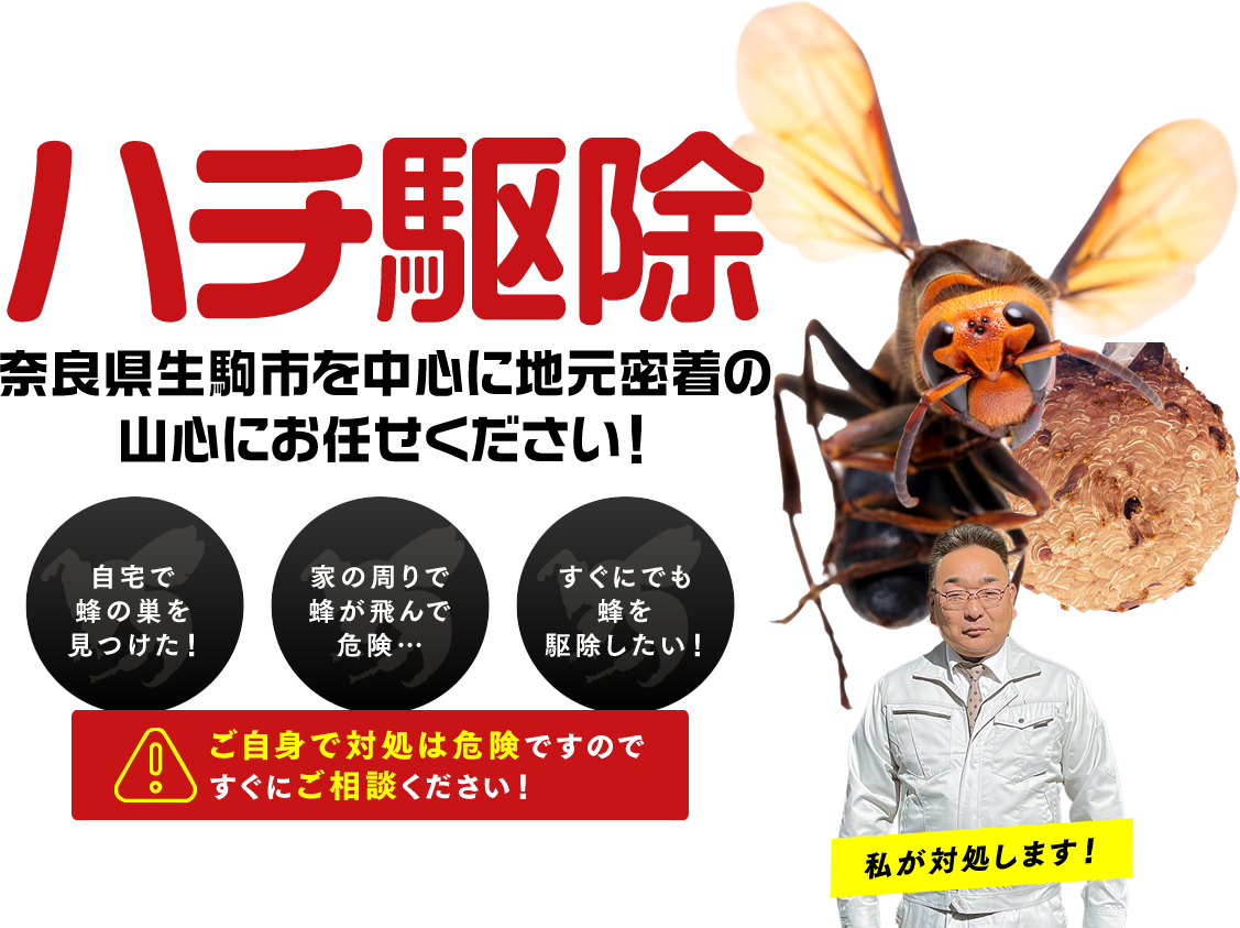 直受け駆除会社 奈良県生駒市にあるハチ駆除サービス 山心